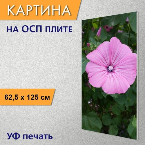 ������ 2970� ������������ ������� 