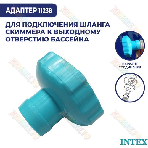  439 INTEX 11238       D 40 ,      ,    