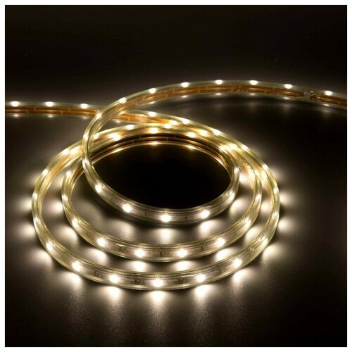  1700   Ecola, 220, 14x7 , SMD5050, 10 , IP68, 7.2 /, 30 LED/, 4200