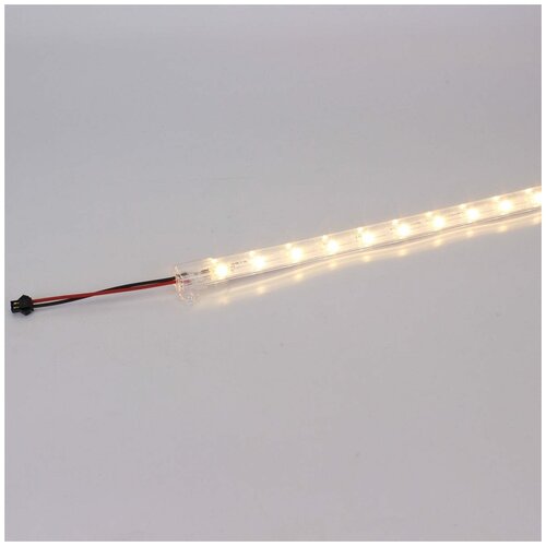  216     2835, 25 led, 220V, 8W, 500mm, D215, white