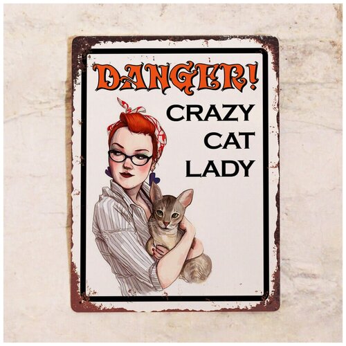  842   DANGER - Crazy Cat Lady, , 2030 