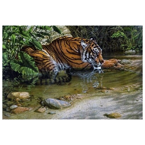  1340     (Tiger) 10 45. x 30.