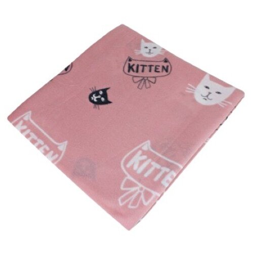  421  Belezza Kitten 6137654  120*150 