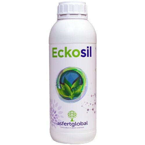  6799    ,  (Eckosil Asfertglobal), 1 