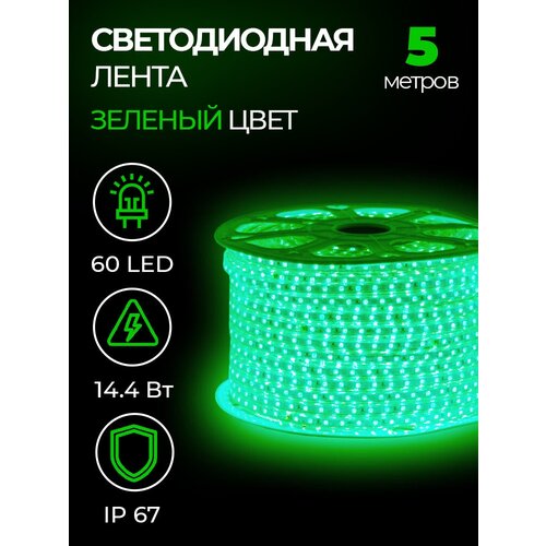  1295   SMD 5050, 60 LED, 220 , 14,4 , IP67, 