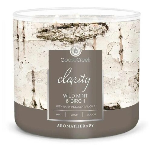  3000   GOOSE CREEK Wild Mint & Birch 35 151184-vol