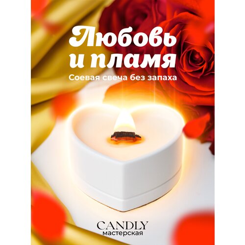 ������ 650� ������ ����� ��� ������ Candly 