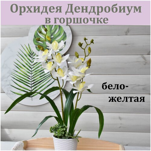������ 1295� ������� ���������� ����-������ � �������� (2 �����) / ������������ ������������� ������ / ������� �� �������