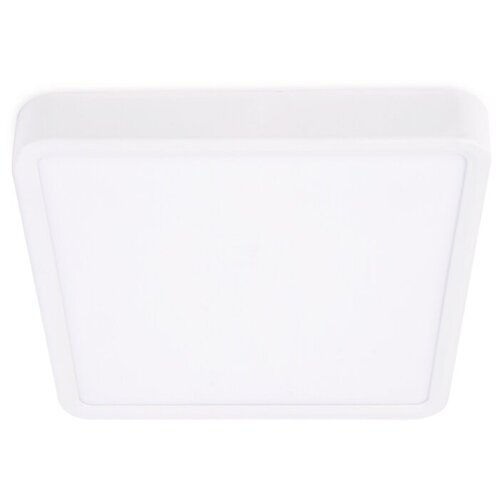  1479   Downlight DLR374 Ambrella