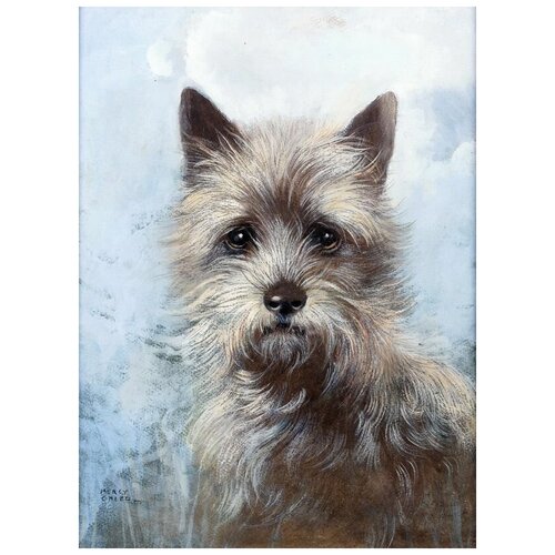 ������ 1260� ����������� �� ������ ������� ����-������� (Portrait Of A Cairn Terrier) ���� ����� 30��. x 41��.