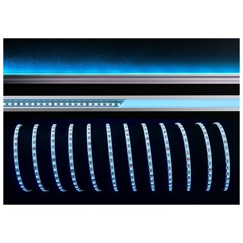  12595   Deko-Light Decorative Light Flexible LED Stripe 840276