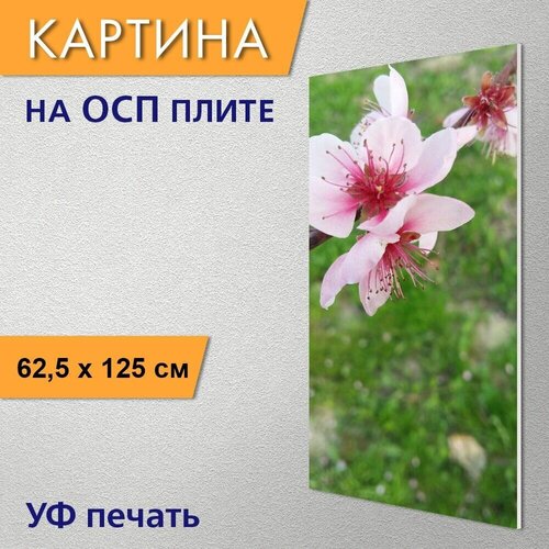������ 2970� ������������ ������� 