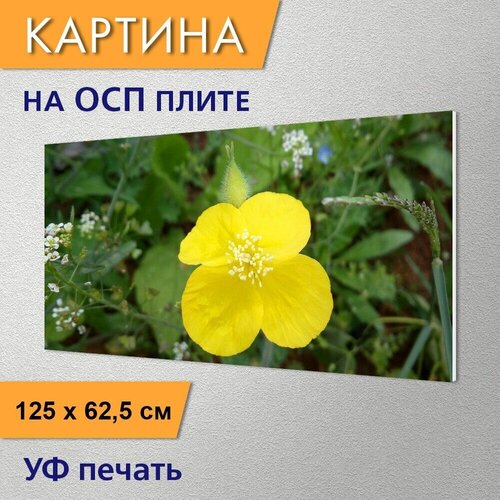 ������ 2990� �������������� ������� 