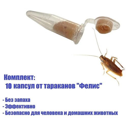 ������ 489� ������� ������������� ����� ( ��������1 �����) �� ��������� ����� 10 ����