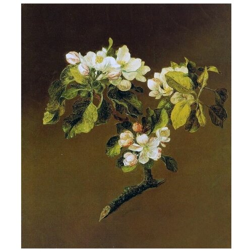  1640      (Blooming apple)    40. x 47.