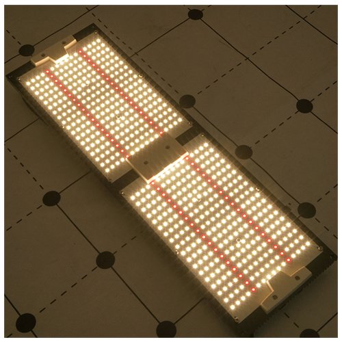  22000   /   kingbrite 240w samsung LM301H + EPISTAR 660nm + IR UV