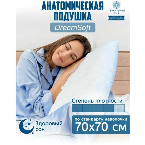  1120   Dream soft 5070 .        , 