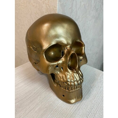 ������ 1519� ����� ��������� bronze