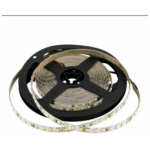  1546   PRO 120 SMD 2835 12V 12W 2160Lm IP33 () 6500