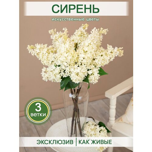 ������ 899� ������������� ����� ������ �������� ����� ��� ������, ������� ������������� ������ �1