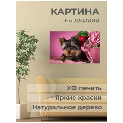 ������ 1001� ����������� ������� �� ������ 
