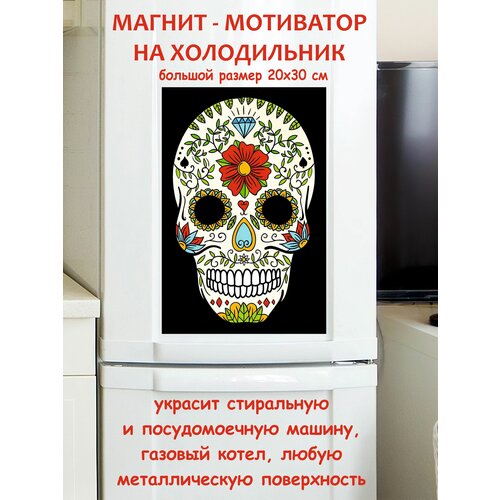 ������ 790� ����� ������ ������ �� ����������� 20 �� 30 ��