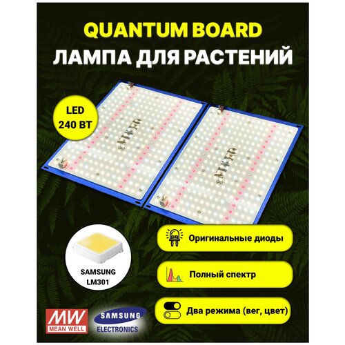  13650   /   / quantum board/  / 240 / Mean Well/  Samsung LM-301, 288*2 . 5000,UV, IR