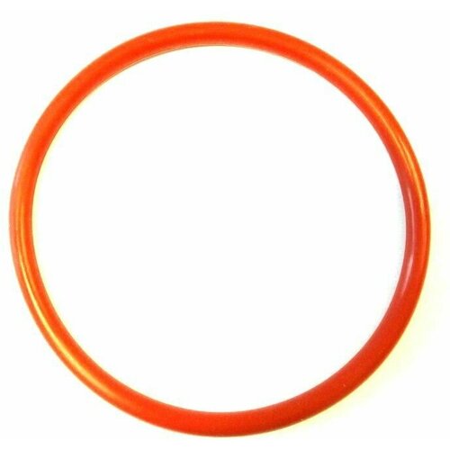  300    O-RING (P75) SIL