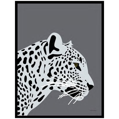 ������ 5544� ������ � ���� G&C new nordic 2344B 300�400