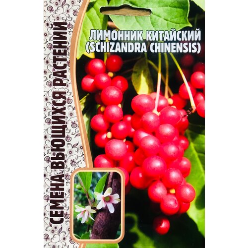     (Schizandra chinensis) (5 ),  210 