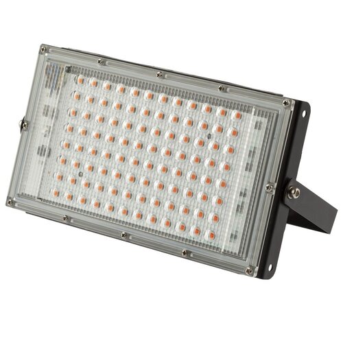  2174      Fito-80w-rb-led-y - , 0053082 .