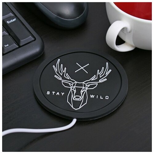  481 Like me    USB Stay wild,  , 10 x 10 