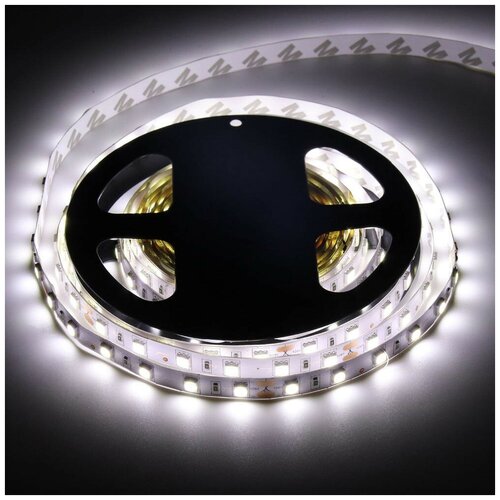  2400  : SMD5050-60LED-IP33-24 5. -  : 5500-6000K