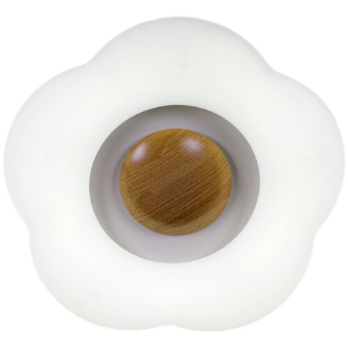  4230   Reluce LED 2*49W 01014-0.3-01 WOOD