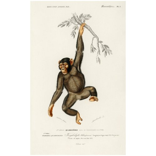 ������ 3490� ������ / ������ / ������� �������� 50�70 �� � ����