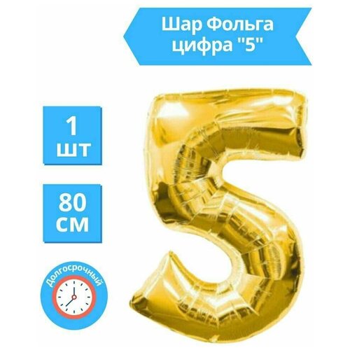 ������ 176� ��������� ��� �������������� ����� 5, �������, ������ 81 ��.