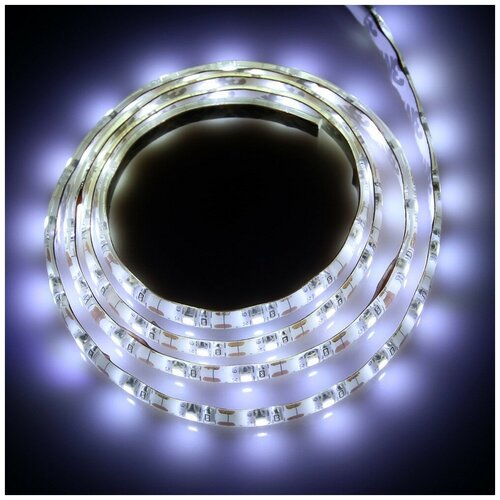  2100   2835, 60LED, IP65, 3500K, 12 -  :  6000