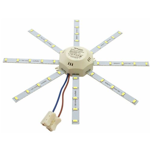  951    Apeyron  LED 16  3000 