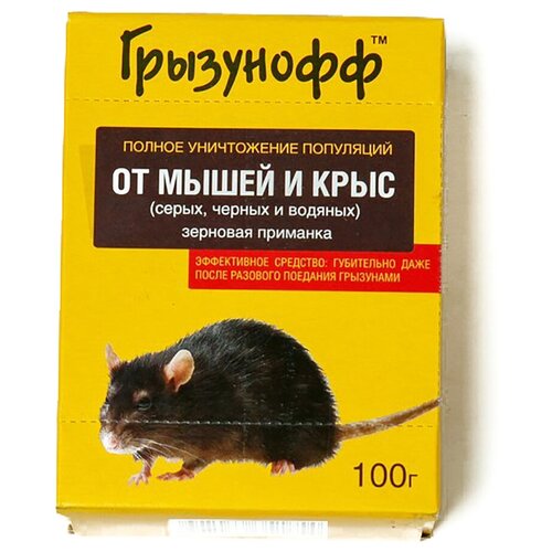 ������ 250� �������� �������� ��������� 100 �