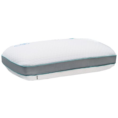  2796   SAVE&SOFT   5535    ,   Memory Foam    ,  12 