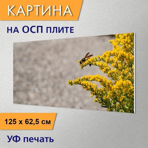 ������ 2950� �������������� ������� 