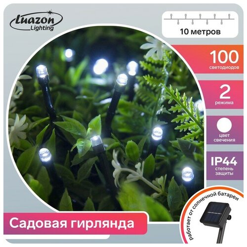  980   10 , IP44,  , 100 LED,  , 2 ,  