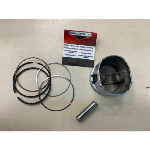  7000    795131 Briggs&Stratton