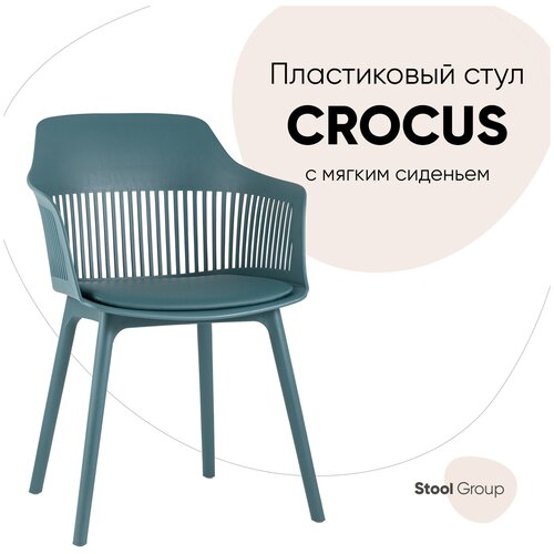  7990  Crocus   -