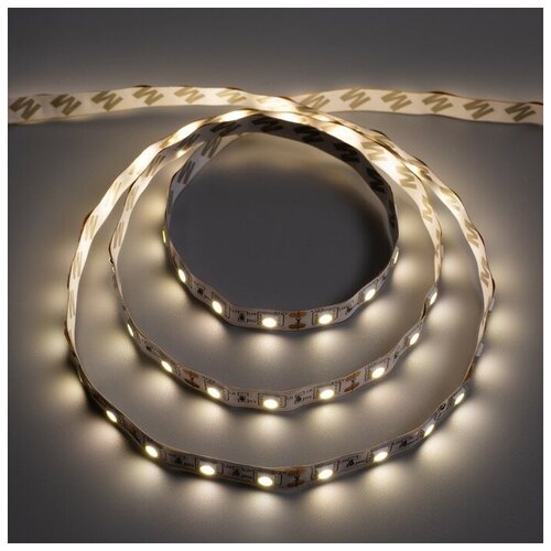  304   Ecola 3 , IP20, SMD5050, 60 LED/, 14.4 /, 12 , 4200