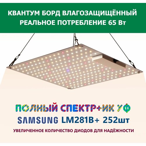  3190    65 ,  CG 650L,    , - quantum board  Samsung LM281b+, 252 . 5000, 395-730.