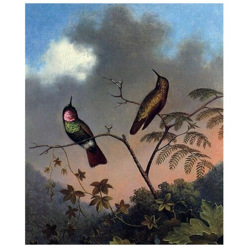  2300      (Brazilian hummingbirds)    50. x 61.