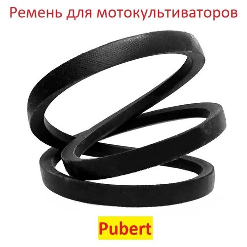  647     Pubert elite 65 bc2 13609A/ 0306030024-LA41