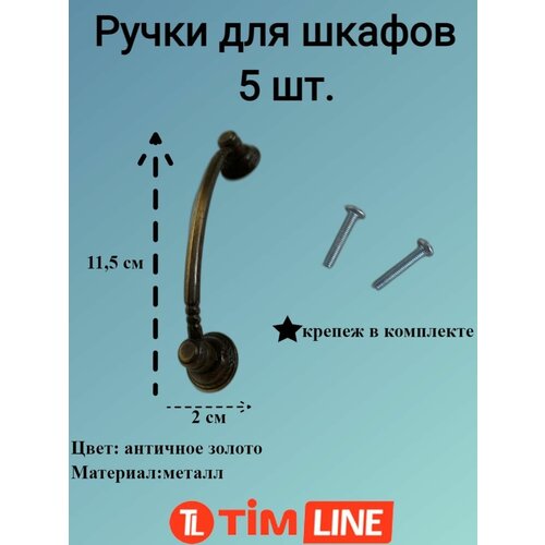  1581       TIMLINE