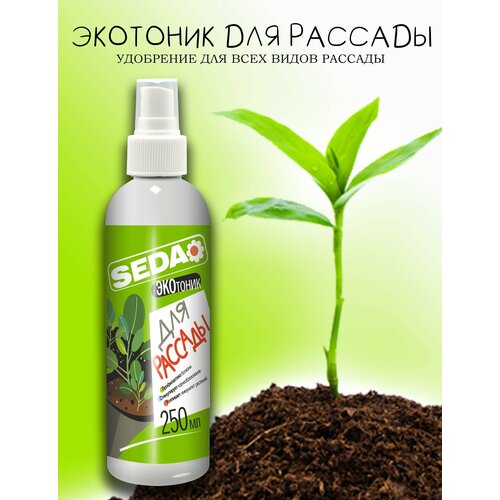  157 SEDA  / () 250., , .  